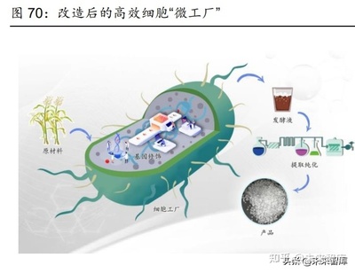 化工行业113页深度研究报告:赚贝塔修复的业绩和阿尔法的估值